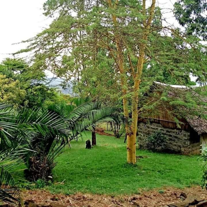 Maili Saba Camp Villa Nakuru Exterior foto